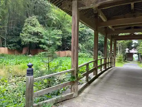 竹林寺(広島県)