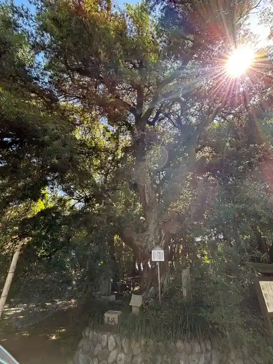 白羽神社(静岡県)
