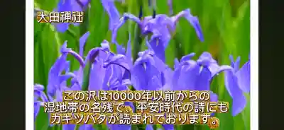 太田神社(京都府)