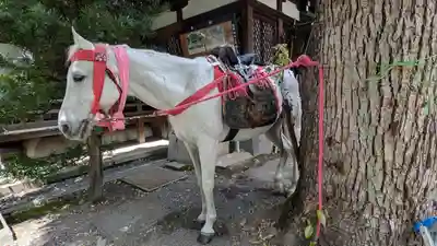 熊野神社(京都府)