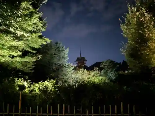 高台寺（高台寿聖禅寺・高臺寺）(京都府)