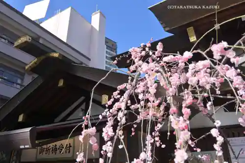 東京大神宮(東京都)