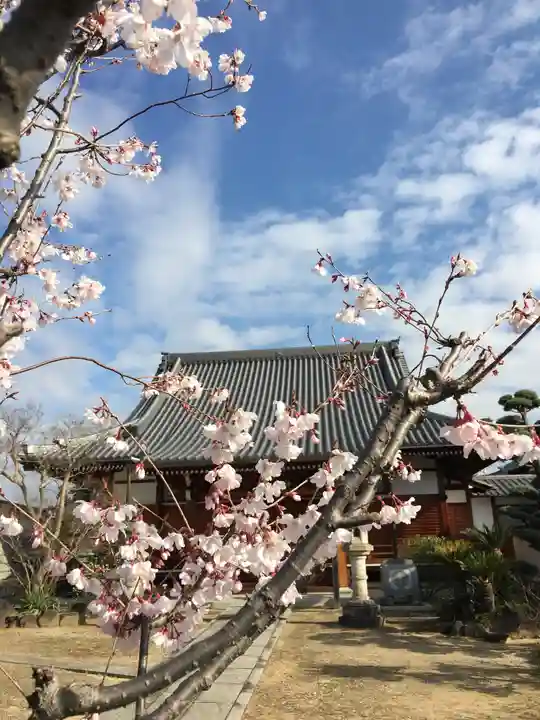 三十講山 光傳寺の自然