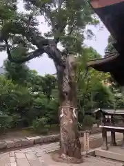 大将軍八神社(京都府)