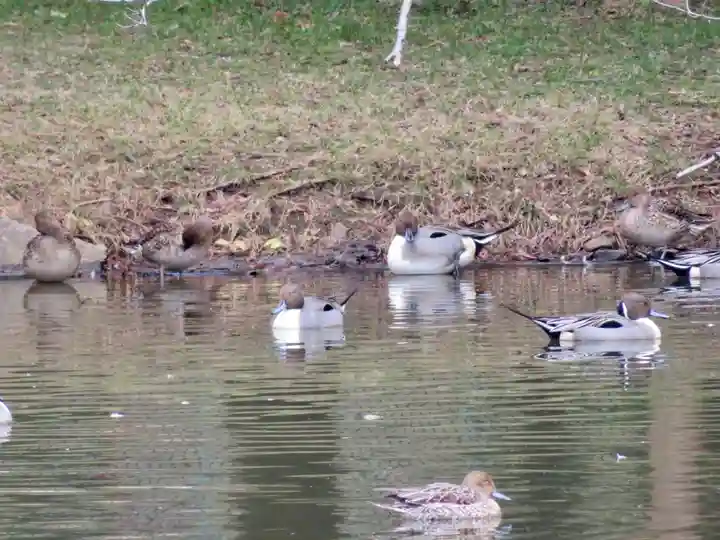 菊田神社の周辺