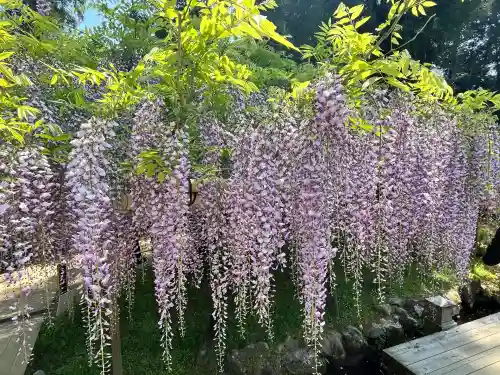 歌泉堂（春日大社神苑萬葉植物園内鎮座）(奈良県)
