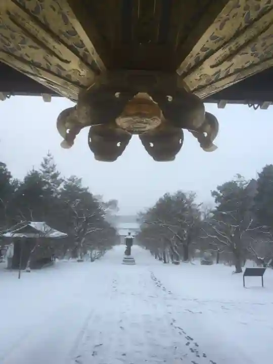 仁和寺(京都府)