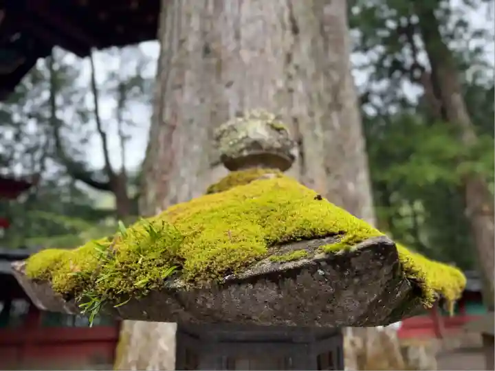 日光二荒山神社(栃木県)