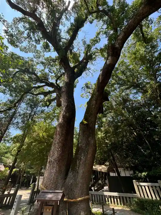伊弉諾神宮(兵庫県)