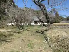 根来寺の建物その他