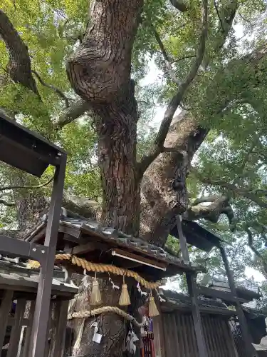 三島神社の{uncategorized: "未分類", other: "その他", undefined: "問題あり", building: "その他建物", grave: "お墓", sacred_gate: "鳥居", guardian: "狛犬", statue: "像", buddha: "仏像", history: "歴史", nature: "自然", garden: "庭園", animal: "動物", pagoda: "塔", temizu: "手水舎", mountain_gate: "山門・神門", sanctuary: "本殿・本堂", subordinate: "末社・摂社", art: "芸術", scenery: "景色", jizo: "地蔵", ema: "絵馬", goshuin: "御朱印", omikuji: "おみくじ", items: "授与品その他", amulet: "お守り", goshuincho: "御朱印帳", eats: "食事", festival: "お祭り", votive_dance: "神楽", shichigosan: "七五三参", wedding: "結婚式", experience: "体験その他", initially: "初詣", around: "周辺", anti_infection: "感染症対策"}