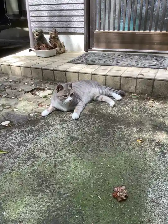 玉野御嶽神社の動物