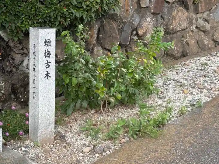 円光院(山梨県)