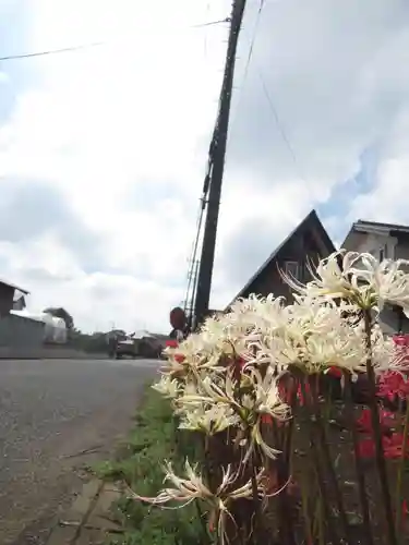真光寺(千葉県)