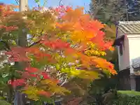 実成坊(滋賀県)