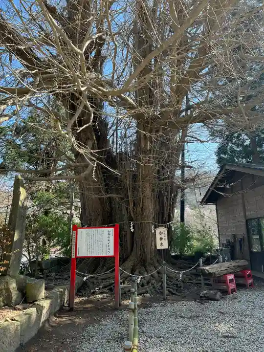 山寺日枝神社(山形県)