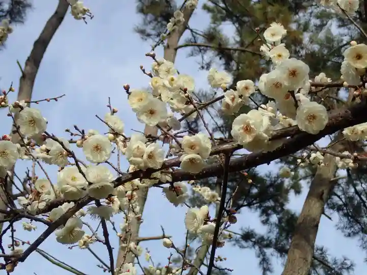 本牧神社(神奈川県)