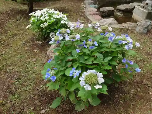 仁木神社の自然