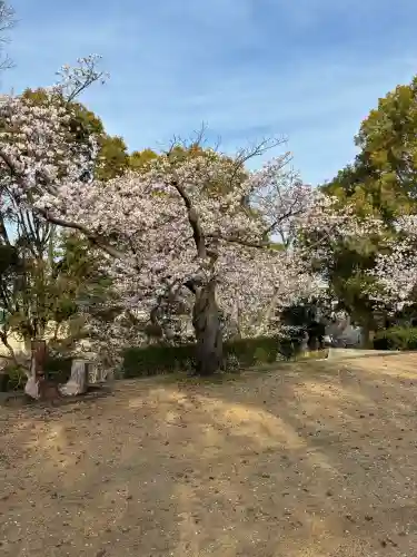 成願寺の{uncategorized: "未分類", other: "その他", undefined: "問題あり", building: "その他建物", grave: "お墓", sacred_gate: "鳥居", guardian: "狛犬", statue: "像", buddha: "仏像", history: "歴史", nature: "自然", garden: "庭園", animal: "動物", pagoda: "塔", temizu: "手水舎", mountain_gate: "山門・神門", sanctuary: "本殿・本堂", subordinate: "末社・摂社", art: "芸術", scenery: "景色", jizo: "地蔵", ema: "絵馬", goshuin: "御朱印", omikuji: "おみくじ", items: "授与品その他", amulet: "お守り", goshuincho: "御朱印帳", eats: "食事", festival: "お祭り", votive_dance: "神楽", shichigosan: "七五三参", wedding: "結婚式", experience: "体験その他", initially: "初詣", around: "周辺", anti_infection: "感染症対策"}