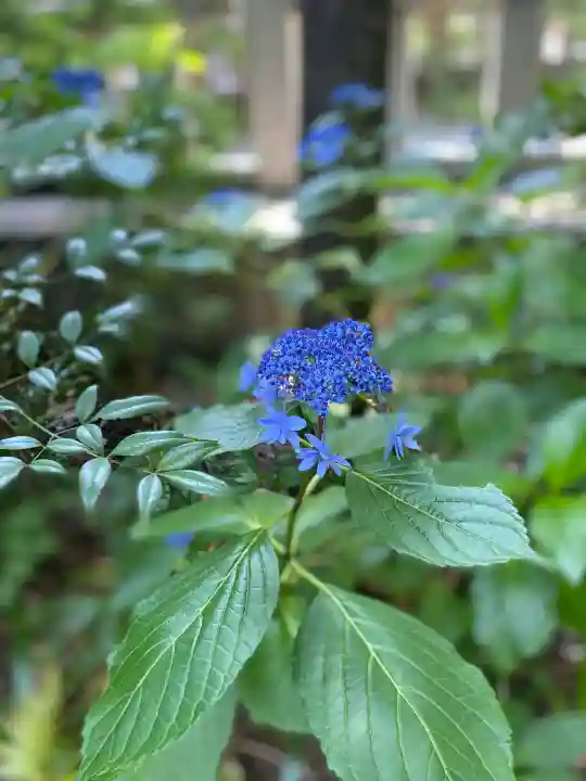 寒川神社(神奈川県)