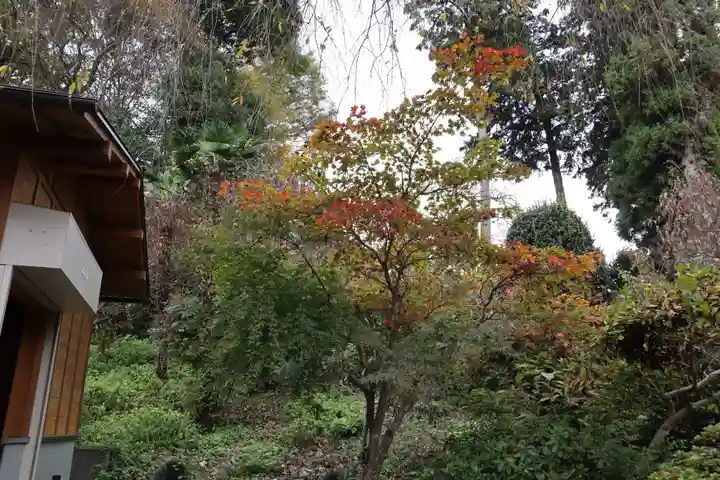 岩之上堂の自然