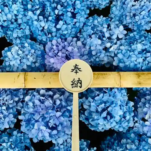 土津神社｜こどもと出世の神さまの手水舎