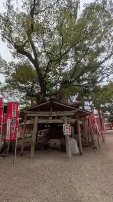 楠珺社（住吉大社末社）(大阪府)