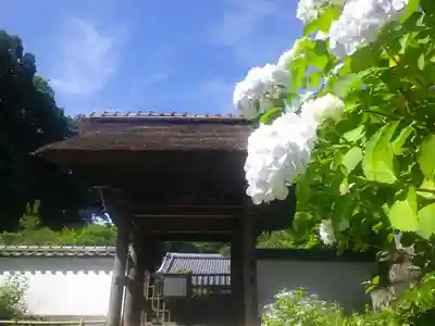 長壽寺(長寿寺)の山門・神門