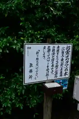 息栖神社(茨城県)