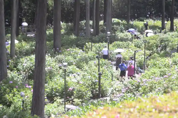三室戸寺(京都府)