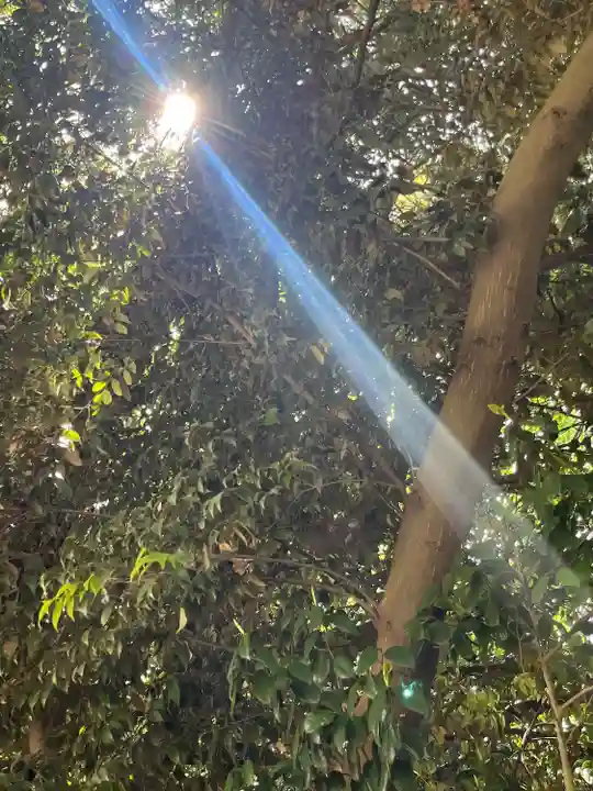 柏諏訪神社(千葉県)
