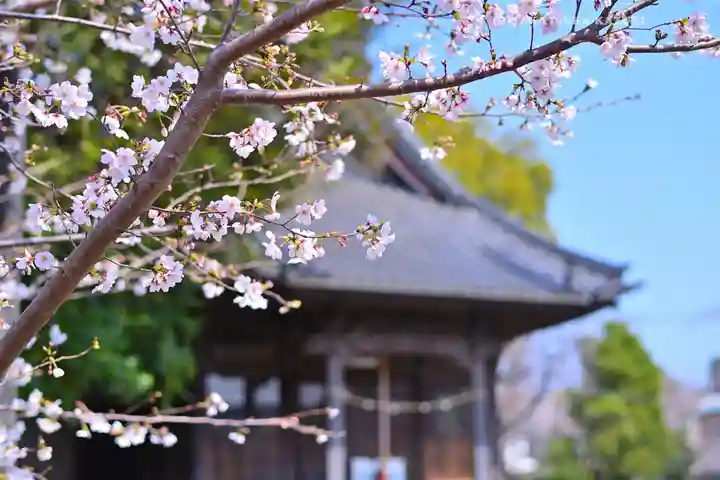 川和八幡神社(神奈川県)