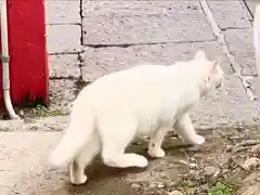 白鳥神社の動物