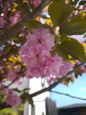乗禅寺の{uncategorized: "未分類", other: "その他", undefined: "問題あり", building: "その他建物", grave: "お墓", sacred_gate: "鳥居", guardian: "狛犬", statue: "像", buddha: "仏像", history: "歴史", nature: "自然", garden: "庭園", animal: "動物", pagoda: "塔", temizu: "手水舎", mountain_gate: "山門・神門", sanctuary: "本殿・本堂", subordinate: "末社・摂社", art: "芸術", scenery: "景色", jizo: "地蔵", ema: "絵馬", goshuin: "御朱印", omikuji: "おみくじ", items: "授与品その他", amulet: "お守り", goshuincho: "御朱印帳", eats: "食事", festival: "お祭り", votive_dance: "神楽", shichigosan: "七五三参", wedding: "結婚式", experience: "体験その他", initially: "初詣", around: "周辺", anti_infection: "感染症対策"}