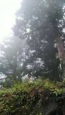 木幡山隠津島神社(二本松市)(福島県)