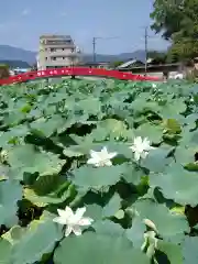 青井阿蘇神社(熊本県)