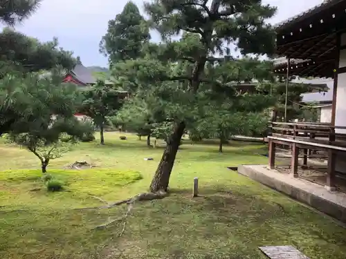 大覚寺の庭園