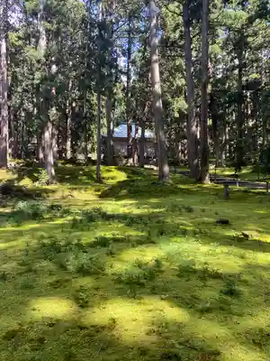 平泉寺白山神社(福井県)