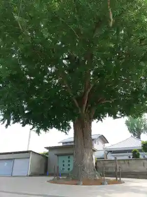 春日神社(群馬県)