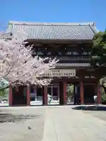 池上本門寺(東京都)