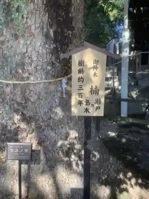 八王子神社の自然