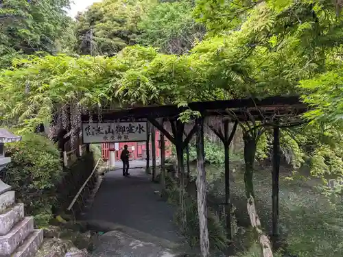 富士山本宮浅間大社(静岡県)