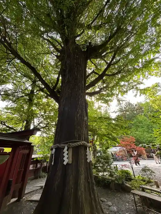 秩父神社の{uncategorized: "未分類", other: "その他", undefined: "問題あり", building: "その他建物", grave: "お墓", sacred_gate: "鳥居", guardian: "狛犬", statue: "像", buddha: "仏像", history: "歴史", nature: "自然", garden: "庭園", animal: "動物", pagoda: "塔", temizu: "手水舎", mountain_gate: "山門・神門", sanctuary: "本殿・本堂", subordinate: "末社・摂社", art: "芸術", scenery: "景色", jizo: "地蔵", ema: "絵馬", goshuin: "御朱印", omikuji: "おみくじ", items: "授与品その他", amulet: "お守り", goshuincho: "御朱印帳", eats: "食事", festival: "お祭り", votive_dance: "神楽", shichigosan: "七五三参", wedding: "結婚式", experience: "体験その他", initially: "初詣", around: "周辺", anti_infection: "感染症対策"}