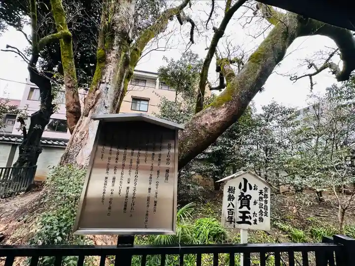 白峯神宮(京都府)