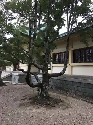 安城神社の自然