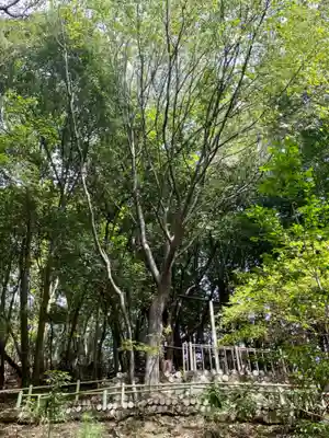 九頭竜大社(京都府)