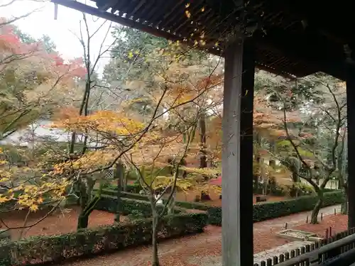 真正極楽寺（真如堂）の庭園