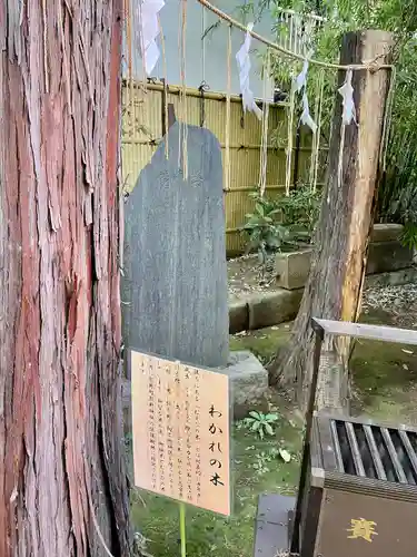 くまくま神社(導きの社 熊野町熊野神社)の歴史