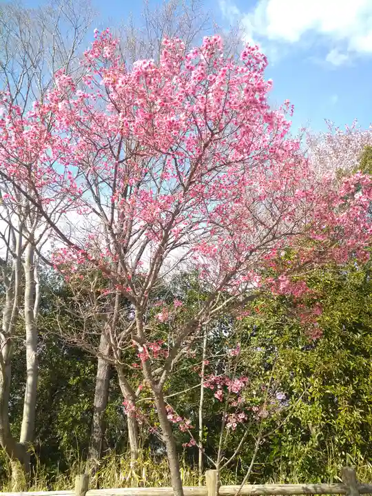 足高神社の自然