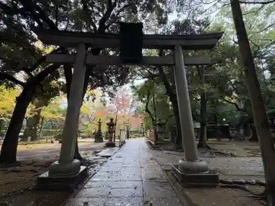 赤坂氷川神社(東京都)